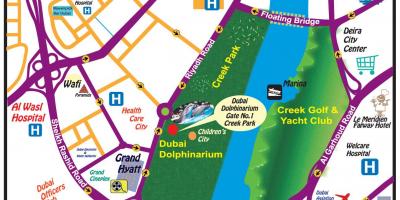 دلفین نشان می دهد دبی نقشه محل